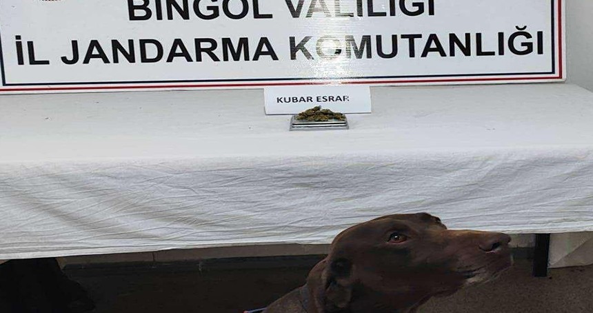 Bingöl'de jandarma uygulamasında uyuşturucu ele geçirildi