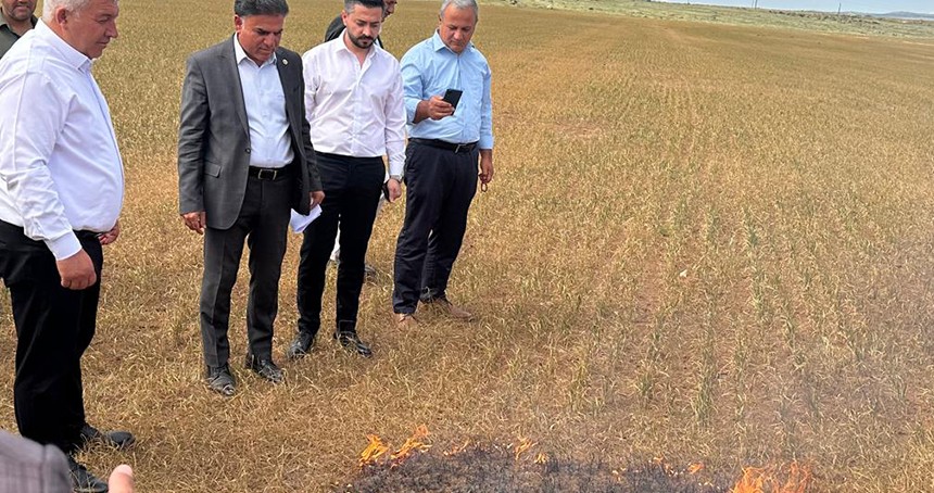 Şırnak’ta Ziraat Odaları Başkanları, kuraklık sorunu için yetkililere çağrıda bulundu