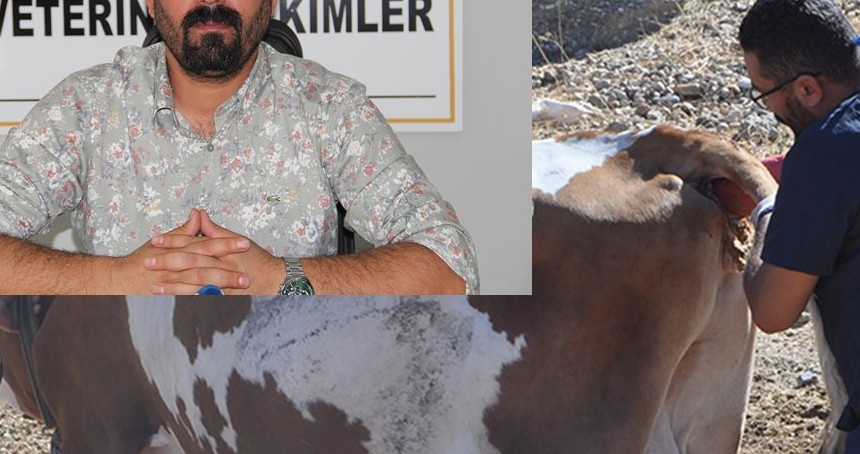 Veteriner hekimlerden sağlık sınıfı talebi!