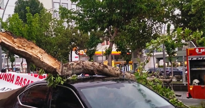 Batman’da şiddetli fırtınada ağaç devrildi, park halindeki araç hasar gördü