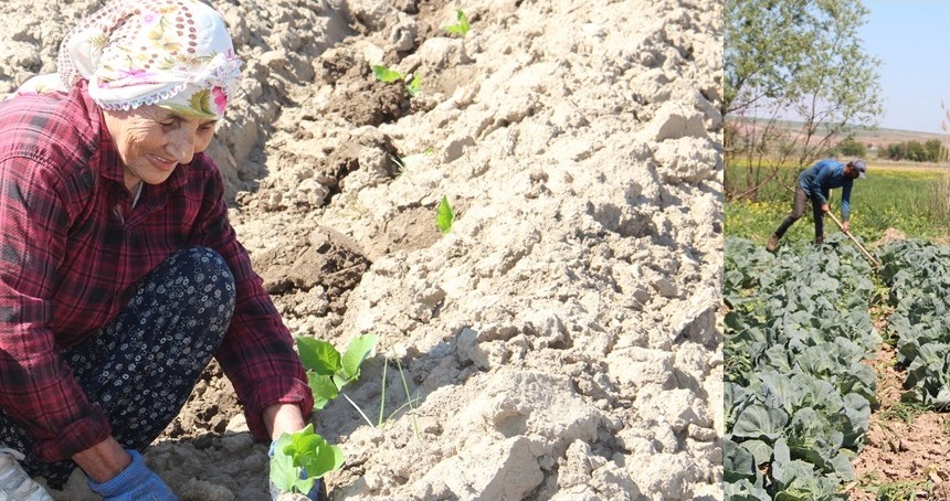 Çiftçiler: Toprak bereketli ama üretim maliyetleri çok yüksek