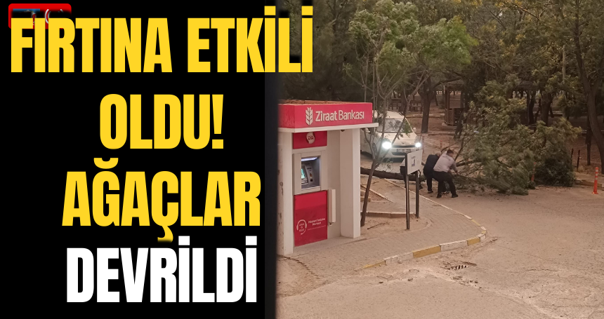 Fırtına Etkili oldu! Ağaçlar devrildi