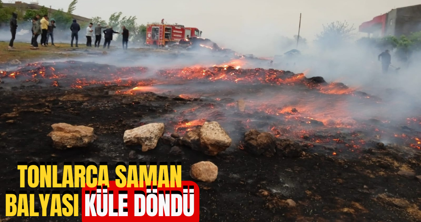 Mardin'de tonlarca saman balyası küle döndü