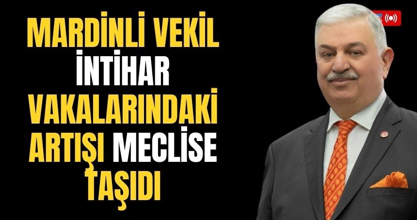 Mardinli Vekil İntihar Vakalarındaki Artışı Meclise Taşıdı