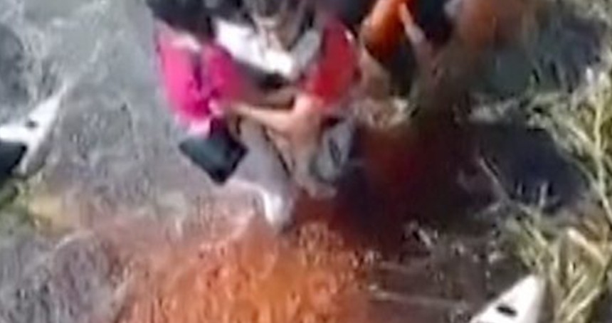 Bataklığa düşen uçağın yolcuları kurtarılmayı bekledi