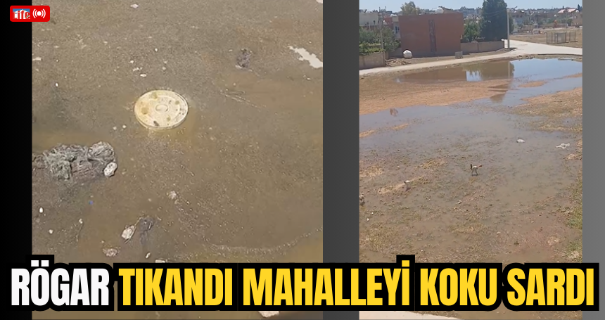 Rögar tıkandı mahalleyi pis koku sardı