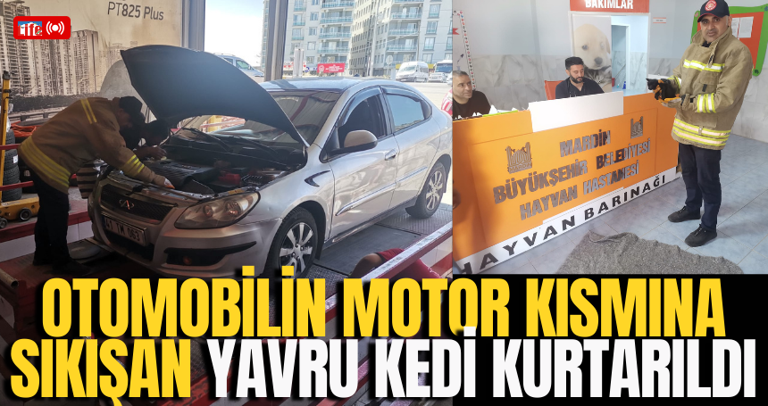 Otomobilin motor kısmına sıkışan yavru kedi kurtarıldı