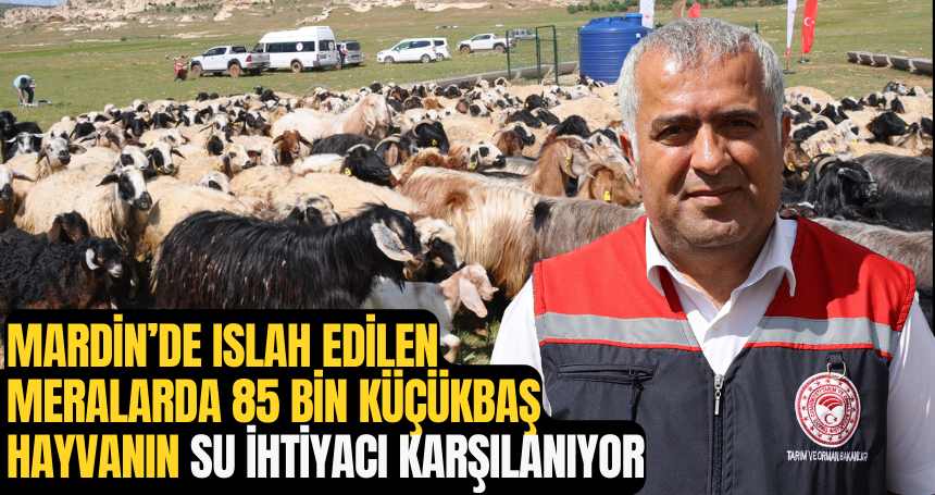 Mardin’de ıslah edilen meralarda 85 bin küçükbaş hayvanın su ihtiyacı karşılanıyor