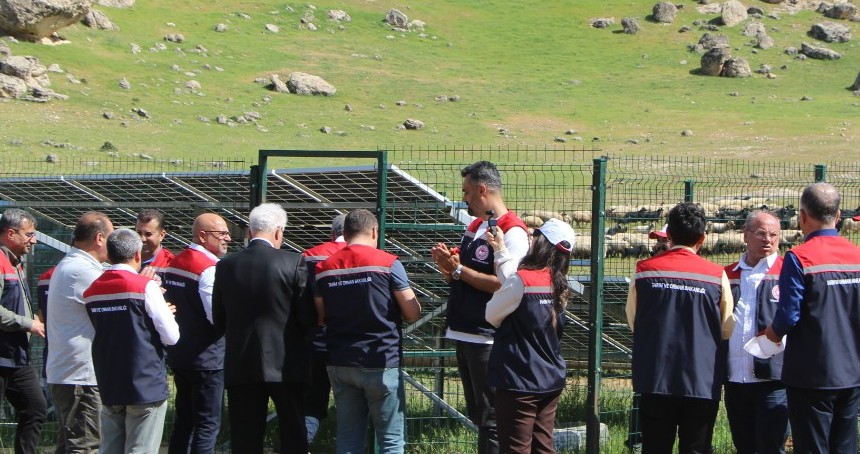 Mardin’de “Mera Islah Projeleri” sayesinde 85 bin hayvanın ihtiyacı karşılanacak