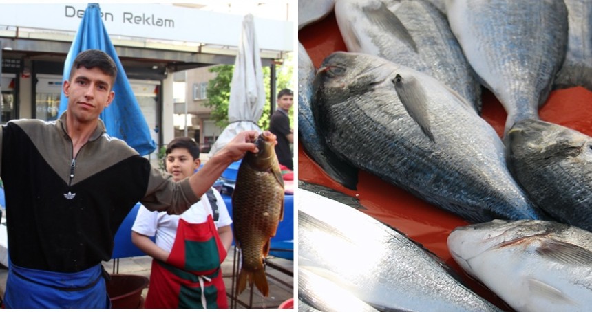 Sezon sonu geldi, balık tezgahlarda kaldı