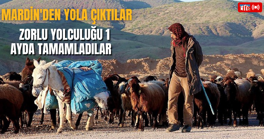 Mardin'den yola çıktılar: Zorlu yolculuğu 1 ayda tamamladılar