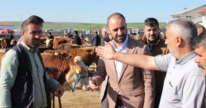 HÜDA PAR Ağrı İl Başkanı Yılmaz, kurban piyasasını yerinde inceledi