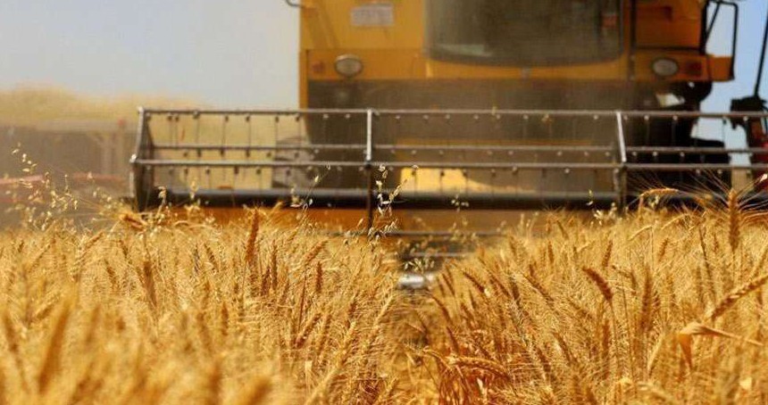 TMO, buğday ve arpa alımlarını başlatıyor