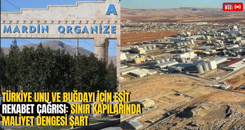 Türkiye Unu ve Buğdayı İçin Eşit Rekabet Çağrısı: Sınır Kapılarında Maliyet Dengesi Şart
