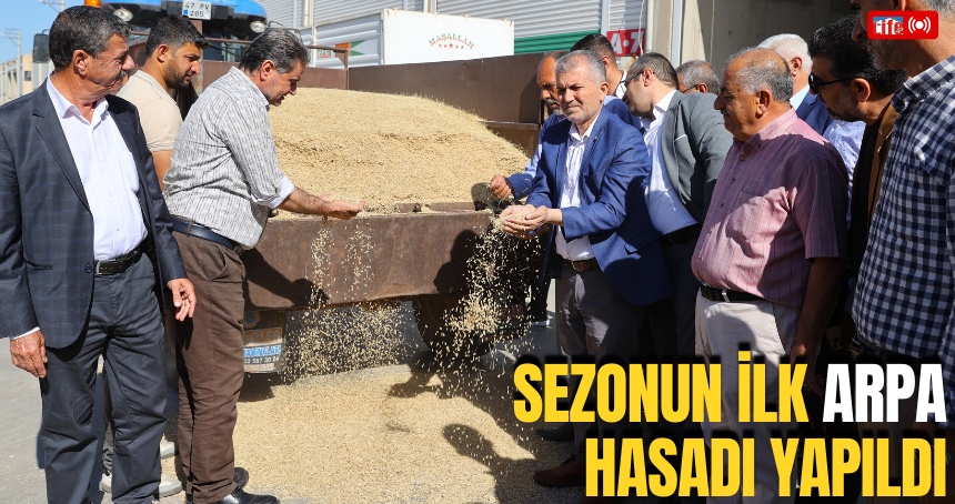 Mardin'de sezonun ilk arpa hasadı yapıldı