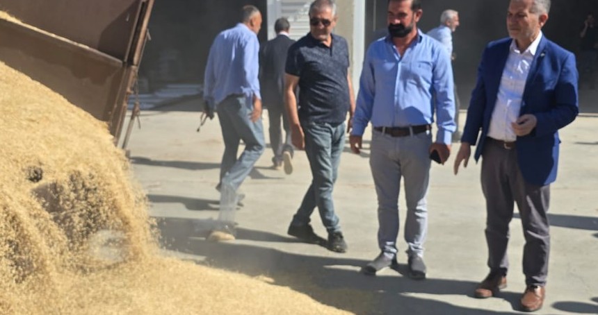Mardin'de yılın ilk arpa hasadı yapıldı