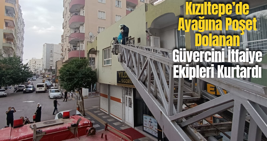 Kızıltepe’de Ayağına Poşet Dolanan Güvercini İtfaiye Ekipleri Kurtardı
