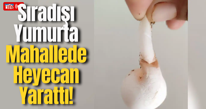Sıradışı Yumurta Mahallede Heyecan Yarattı!
