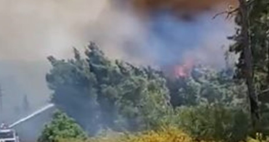 Suriye’nin kıyı kesimlerinde orman yangını: 30 hektardan fazla alan yandı