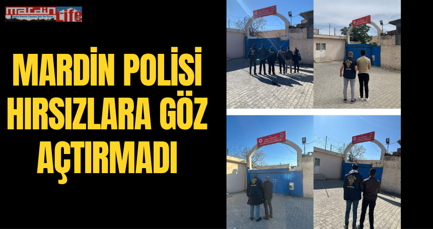 Mardin Polisi Hırsızlara Göz Açtırmadı: 40 Şahıs Yakalandı