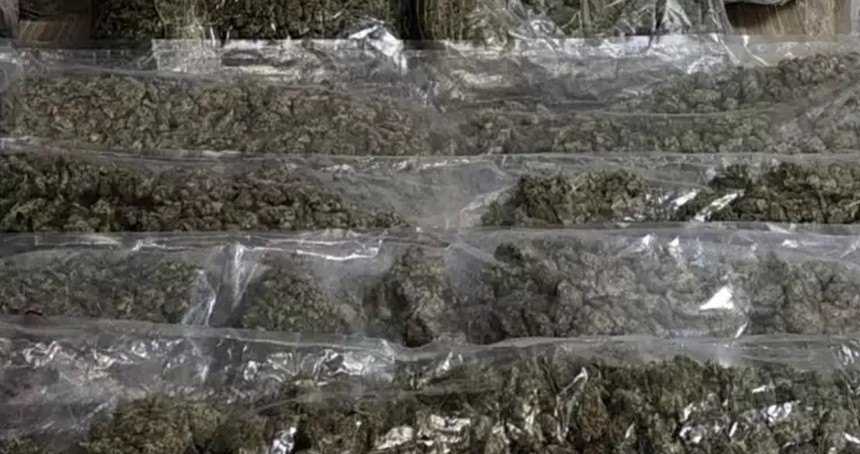 İzmir'de 19 kilogram esrar ele geçirildi: 1 gözaltı