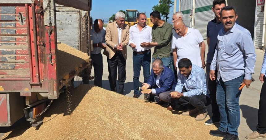 Mardin’de sezonun ilk buğday hasadı yapıldı