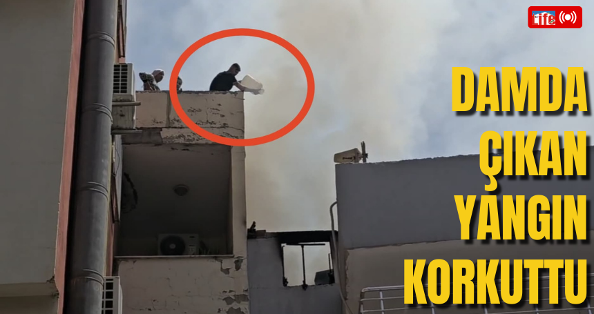 Damda çıkan yangın korkuttu