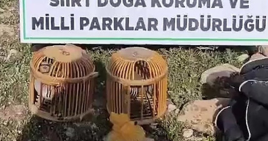 Kınalı keklik avlayan şahsa 63 bin lira ceza