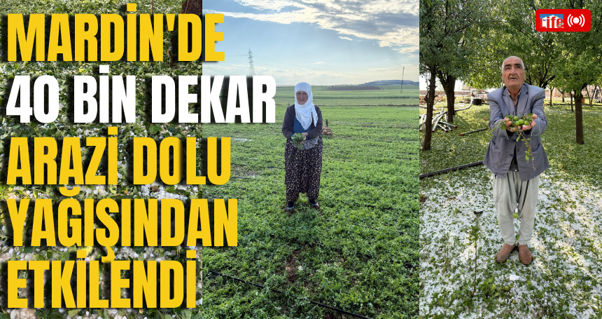 Mardin'de 40 bin dekar arazi dolu yağışından etkilendi