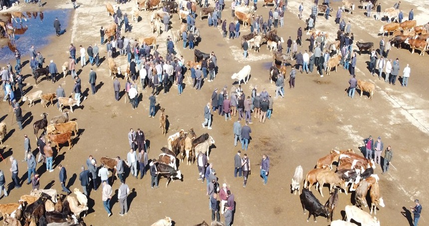 Kurban piyasası fiyat istikrarsızlığından sakin günler geçiriyor