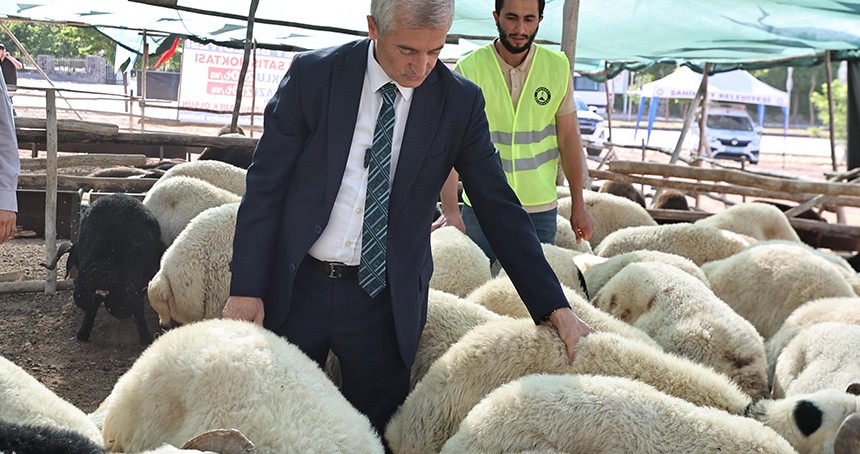 Gaziantep'te kurbanlık satış fiyatları belirlendi