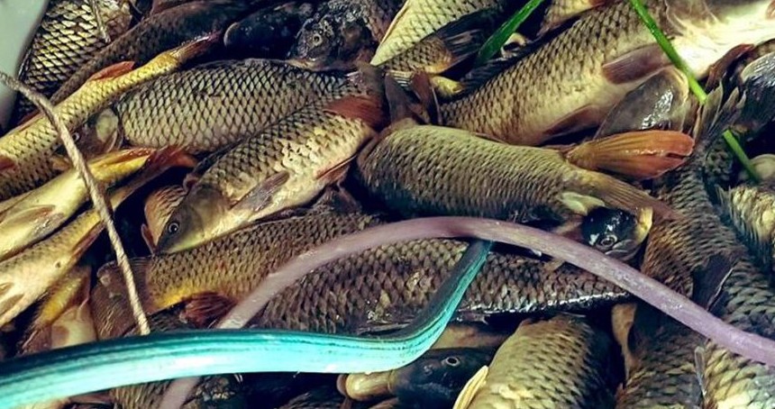 Bursa'da kaçak avcılık operasyonunda 4 kişiye 67 bin TL ceza kesildi