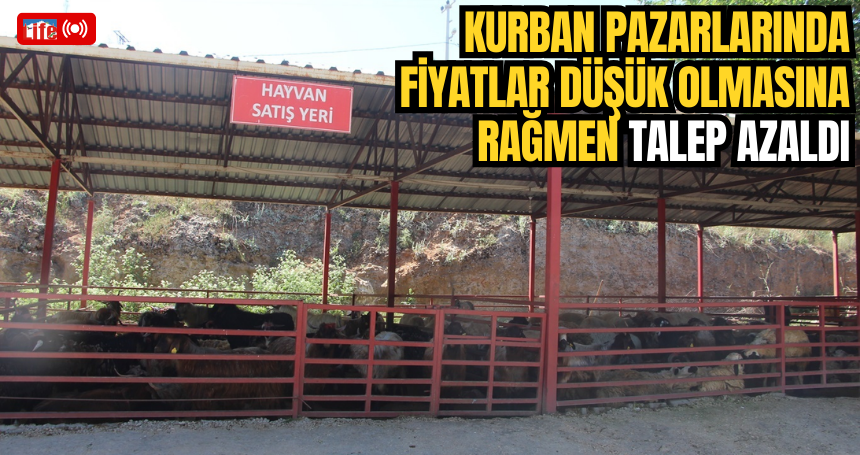 Kurban pazarlarında fiyatlar düşük olmasına rağmen talep azaldı