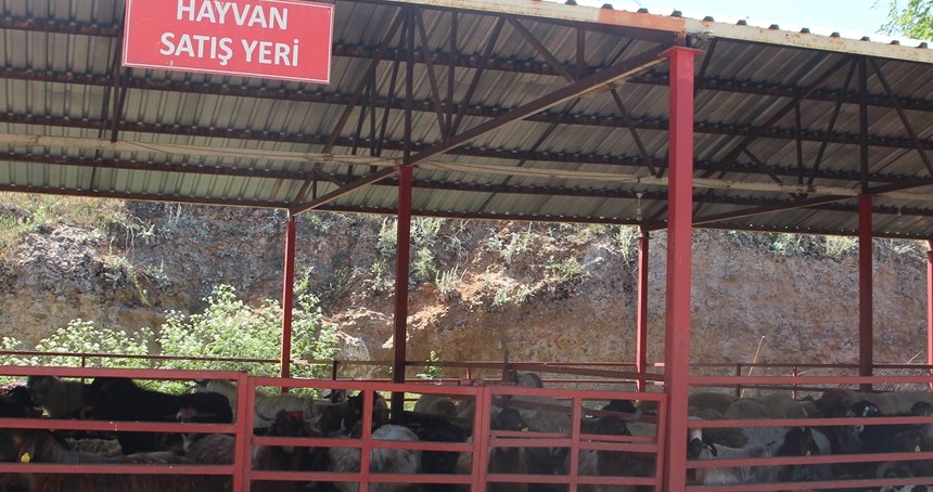 Kurban pazarlarında fiyatlar düşük olmasına rağmen talep azaldı