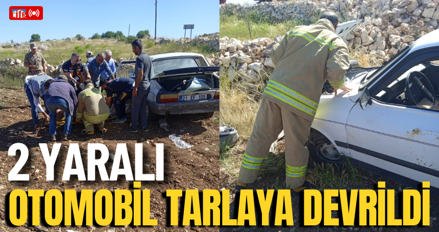 Otomobil tarlaya devrildi, 2 yaralı