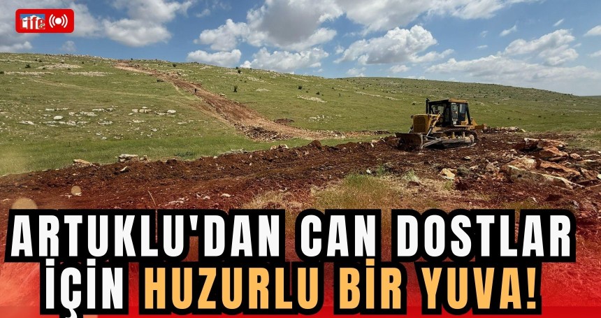 Artuklu'dan Can Dostlar İçin Huzurlu Bir Yuva!