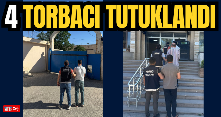 Mardin'de 4 Torbacı tutuklandı