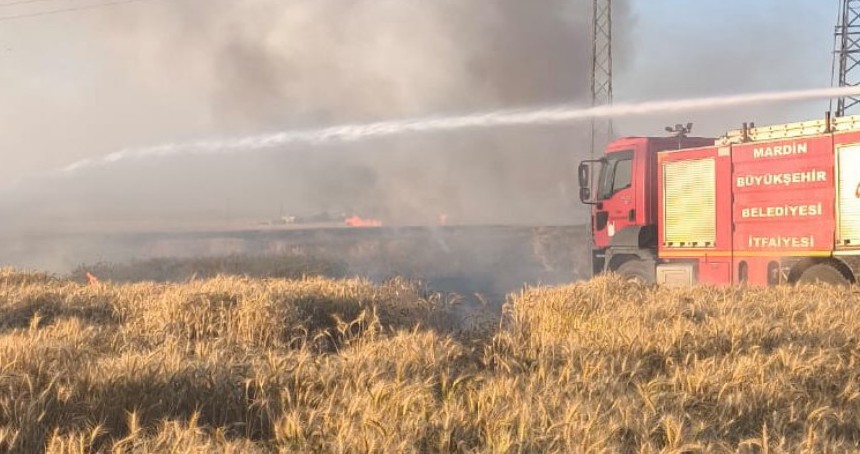 Çıkan yangında 155 dönüm ekili alan zarar gördü