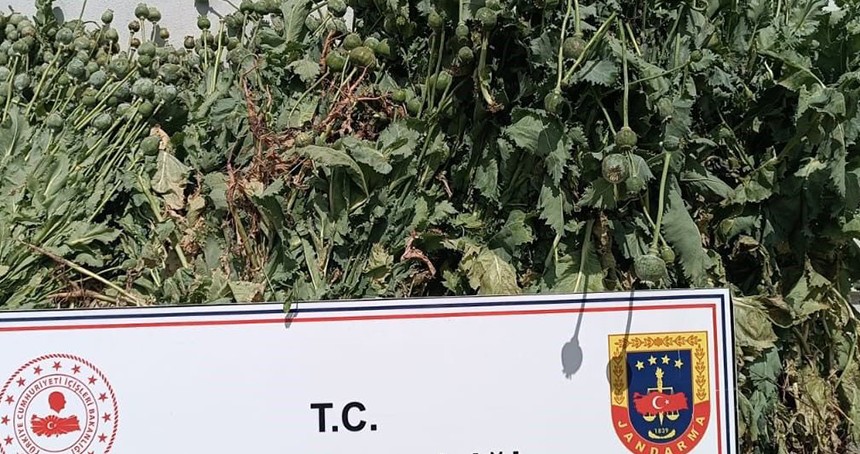 Malatya'da 18'i kesinleşmiş hapis cezası bulunan 30 kişi yakalandı
