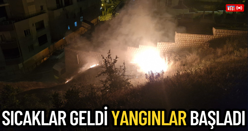 Mardin'de sıcaklar geldi yangınlar başladı