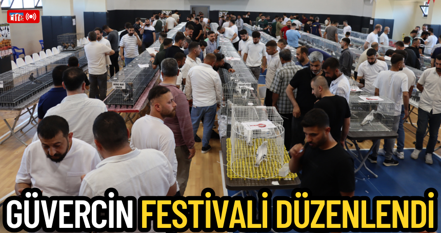 Midyat-Musul Güvercin Festivali düzenlendi