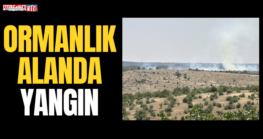 Mardin'de ormanlık alanda yangın!
