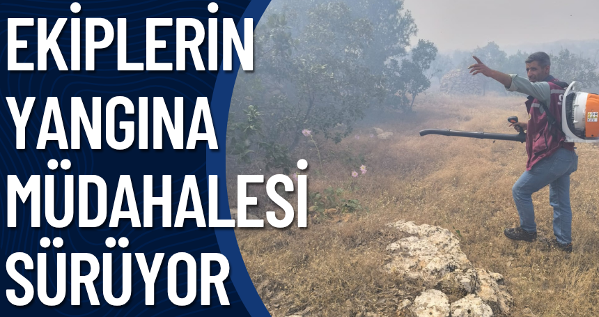 Orman işletmesi yangın söndürme ekiplerinin ormanlık alandaki yangına müdahalesi sürüyor