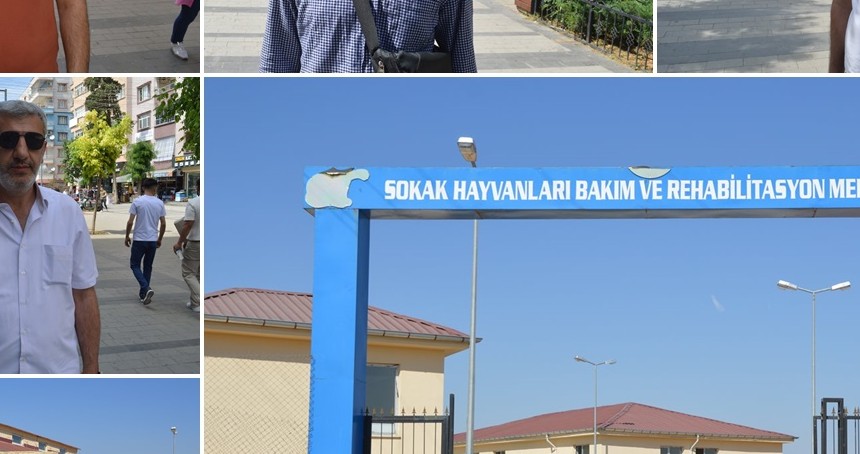 Siirt’te başıboş hayvanların barınaklara alınması vatandaşı memnun etti