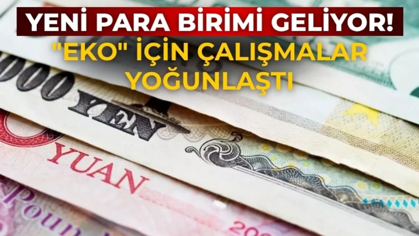 15 ülkenin ortak kullanacağı yeni para birimi geliyor!