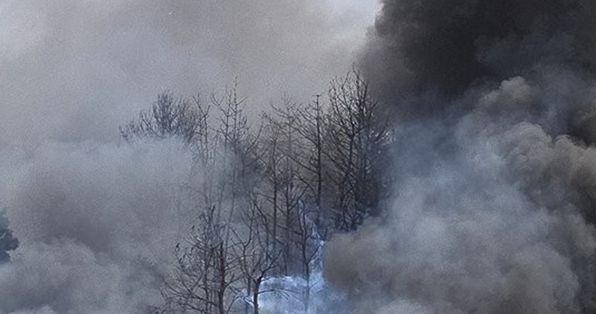 Güney Kore'de askeri uçak düştü: 2 ölü 2 kayıp
