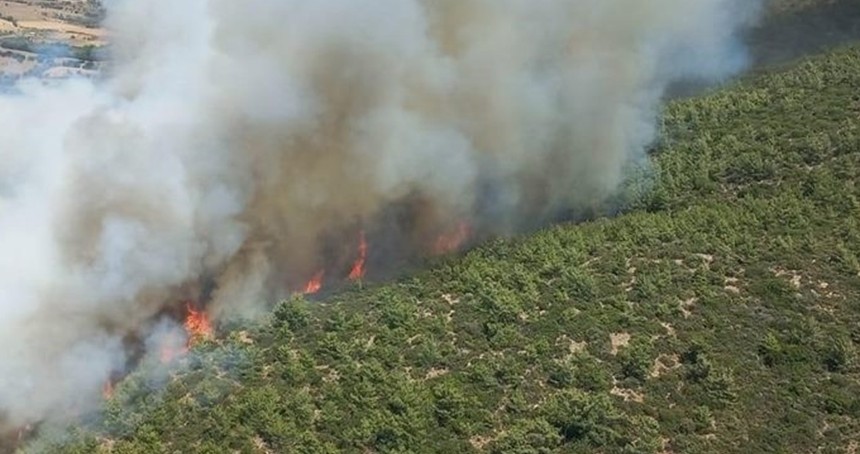 İzmir'de ormanlık alanlara giriş yasağı