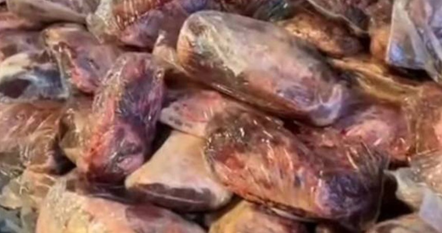 Şanlıurfa’da 1,7 ton kaçak et ele geçirildi