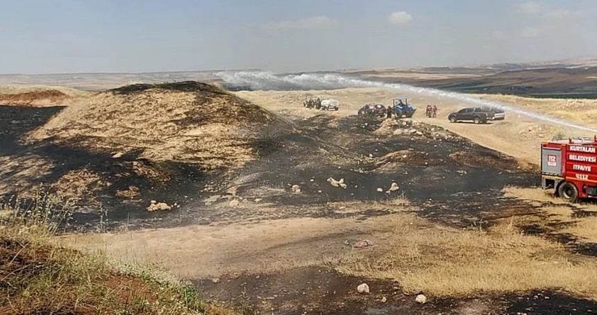 Siirt'te tarla yangını: 60 dönüm buğday ekili alan küle döndü