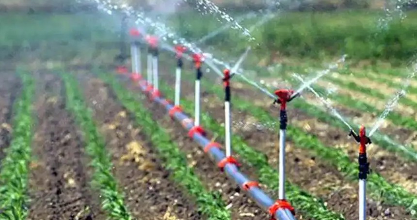 Tarımsal destek ödemeleri çiftçilerin hesaplarına aktarılıyor